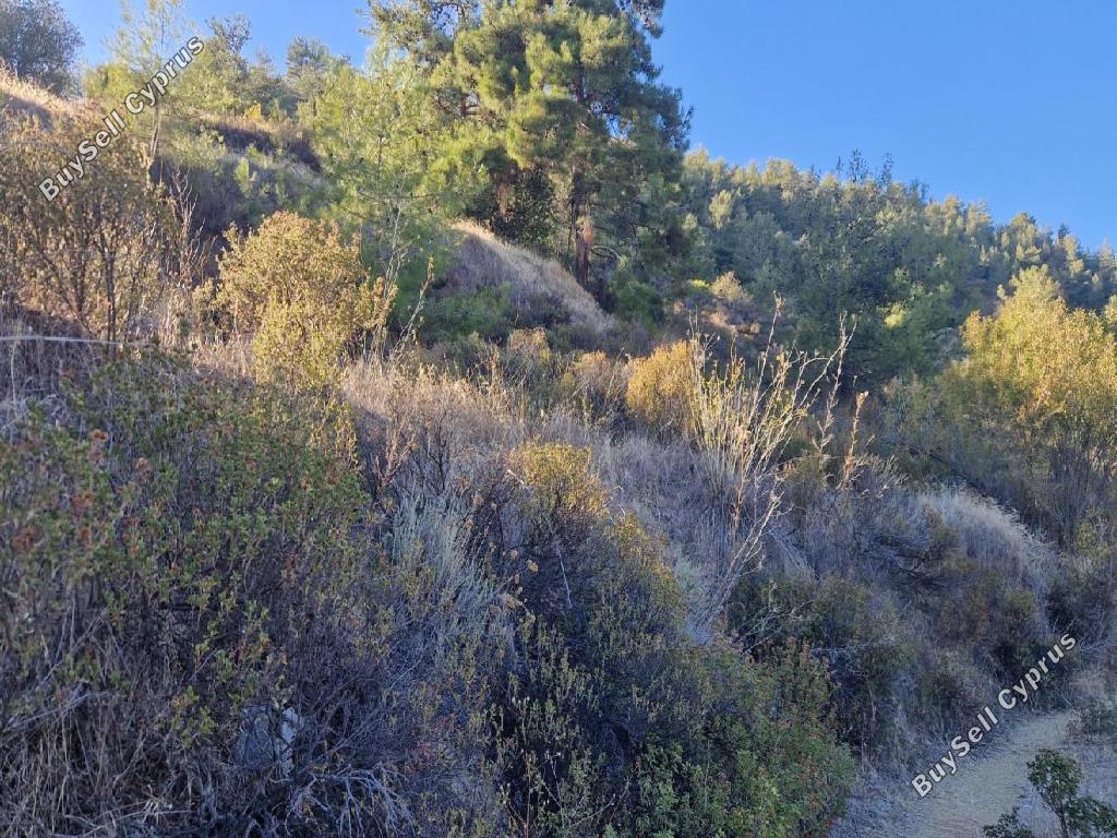 land for sale pelendri limassol 7580042 image 15597335