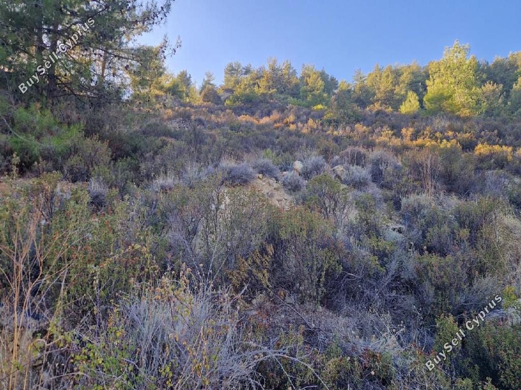 land for sale pelendri limassol 7580042 image 15597336