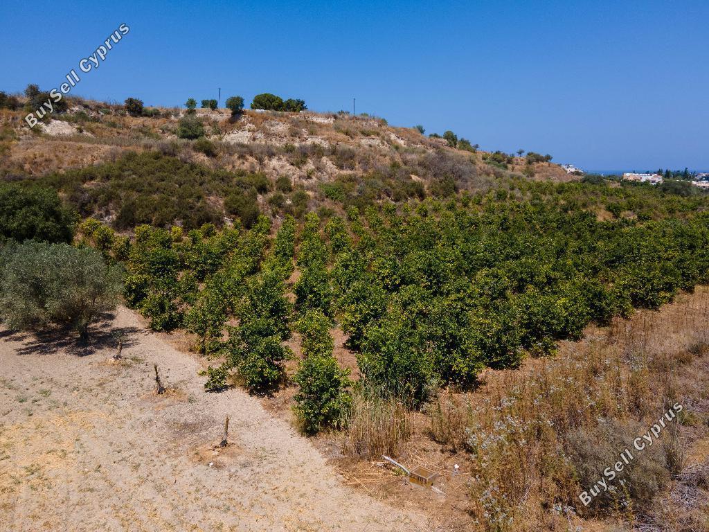 land for sale prodromi paphos 823042 image 16225504