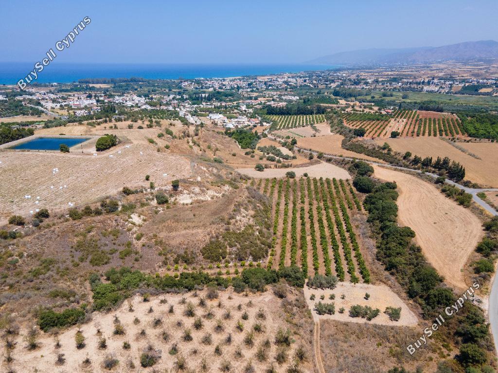 land for sale prodromi paphos 823042 image 16225506