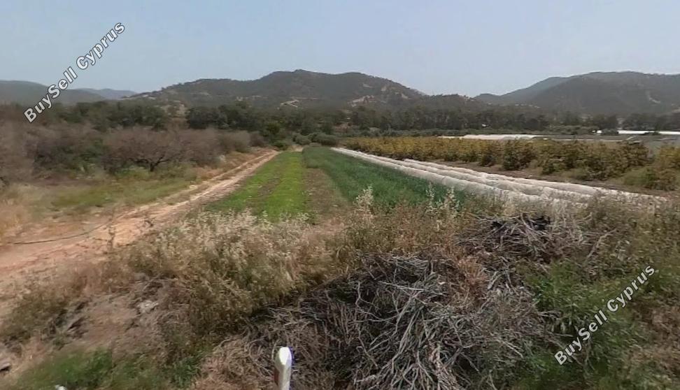 studio commercial building for sale gialia paphos 8625042 image 15837400