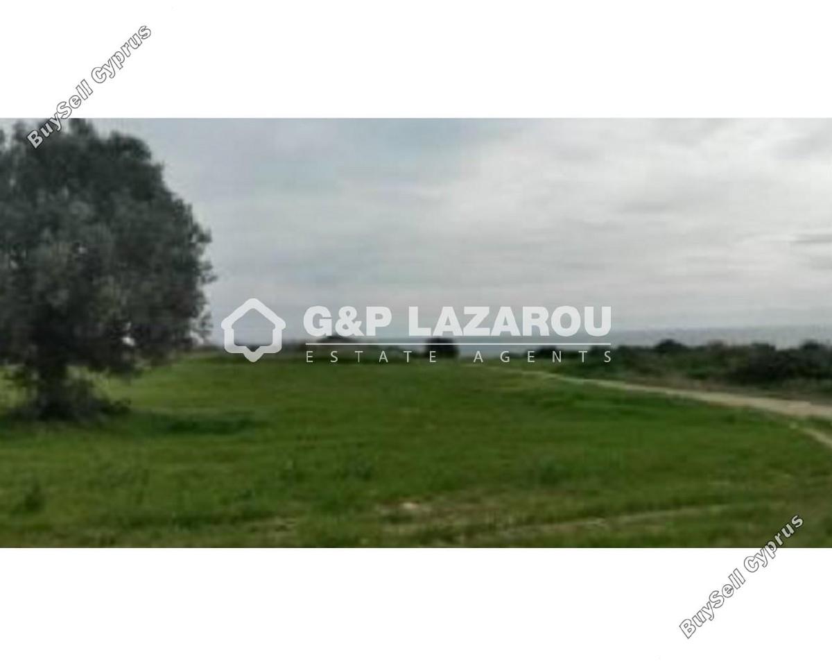 land for sale agios theodoros larnacas larnaca 1688142 image 6007220