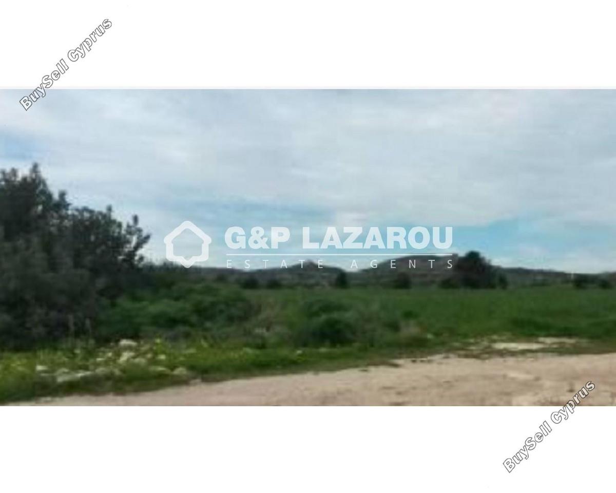 land for sale agios theodoros larnacas larnaca 1688142 image 6007223
