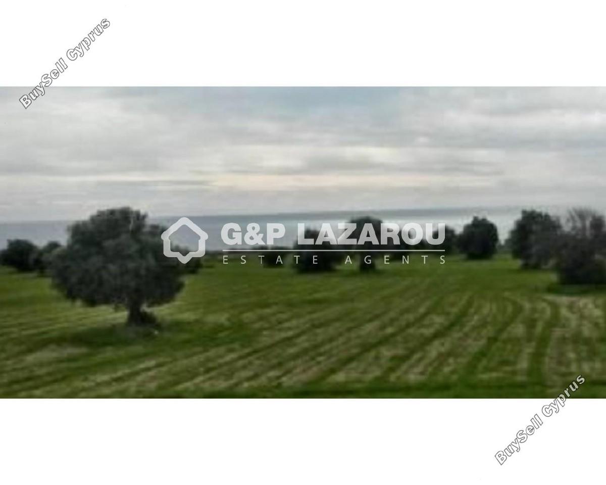 land for sale agios theodoros larnacas larnaca 1688142 image 6007227