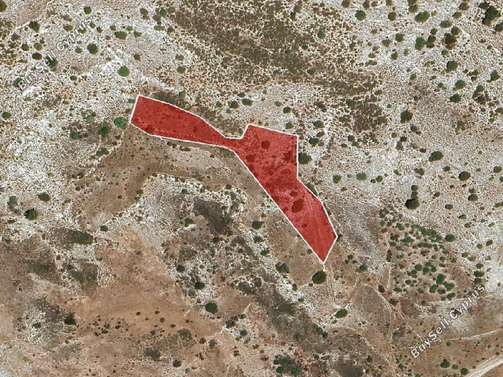 land for sale kedares paphos 8711142 image 17009676