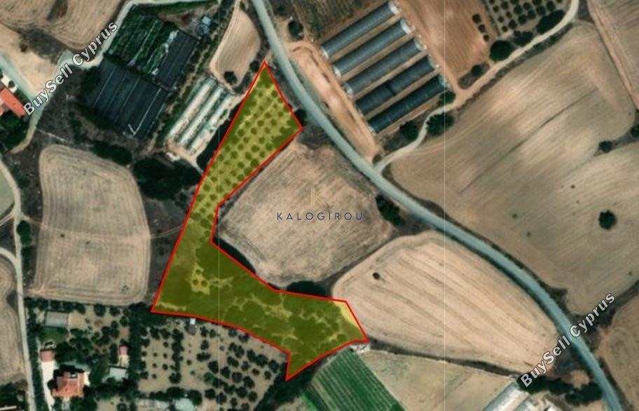 land for sale maroni larnaca 1615142 image 5704818