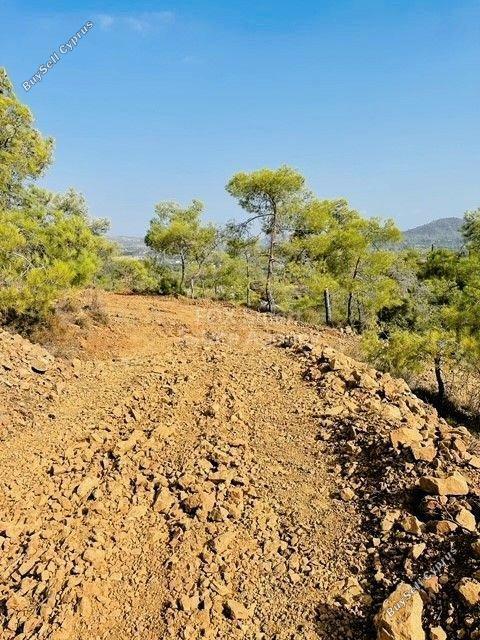 plot for sale kornos larnaca 1387142 image 9301476