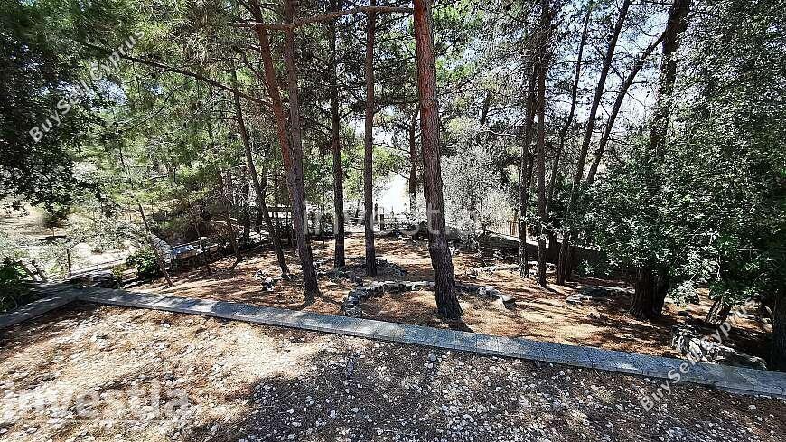 4 bedroom detached house for sale anglisides larnaca 8839242 image 17041390