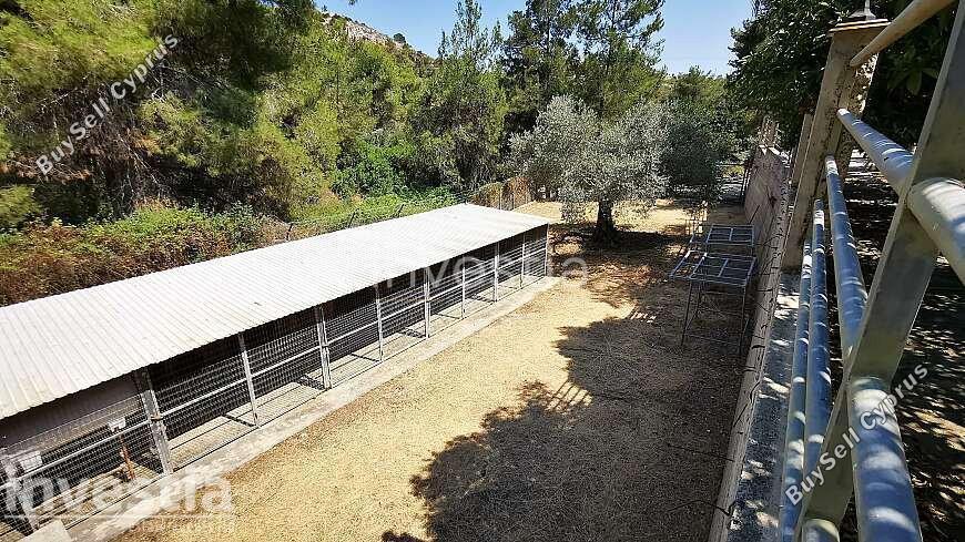 4 bedroom detached house for sale anglisides larnaca 8839242 image 17041428