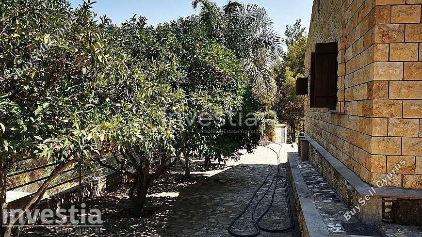 4 bedroom detached house for sale anglisides larnaca 8839242 image 17041434