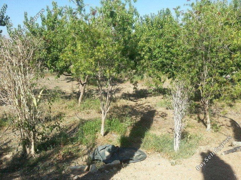 4 bedroom detached house for sale parekklisia limassol 1680242 image 4366343