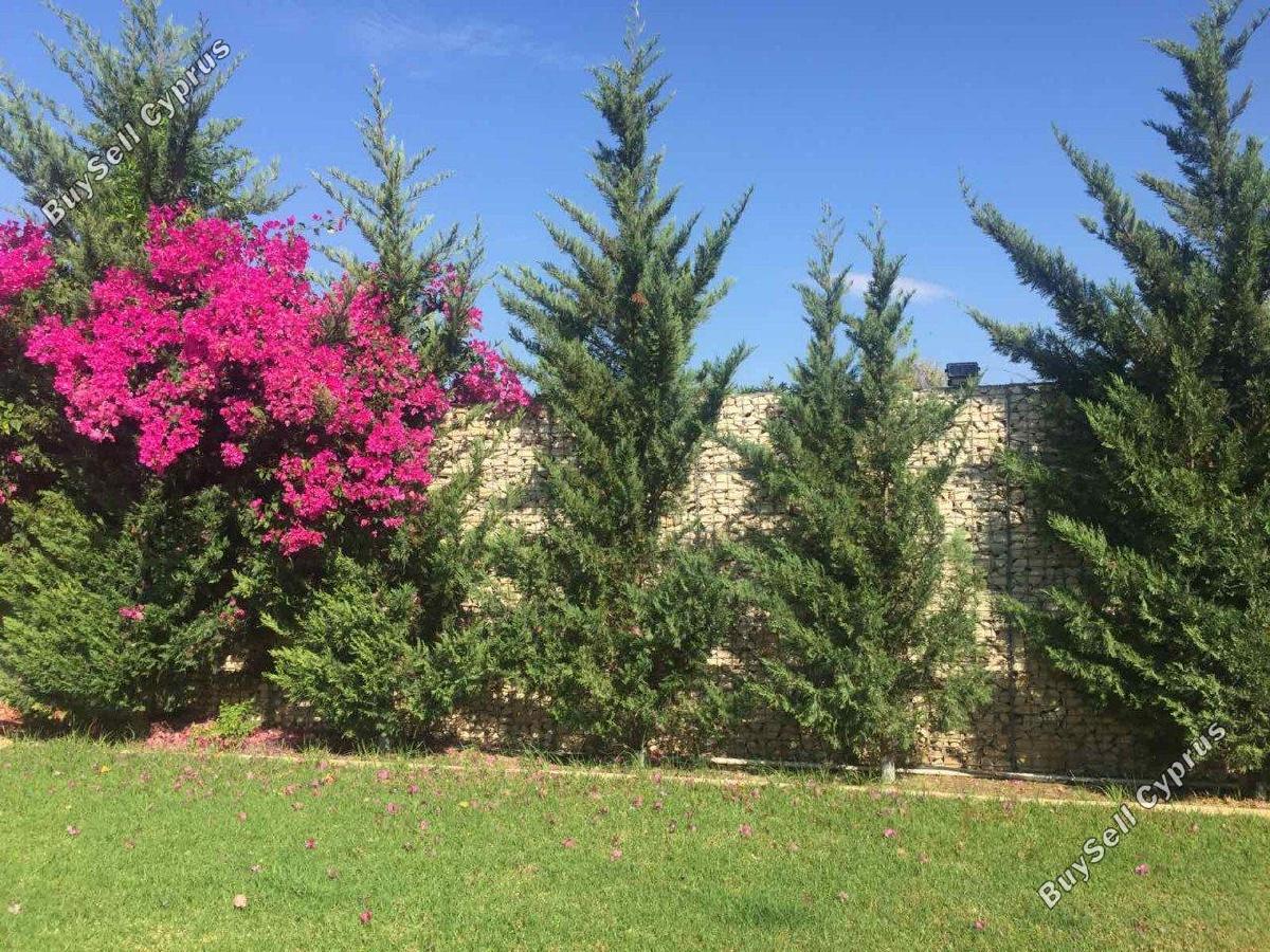 4 bedroom detached house for sale parekklisia limassol 1680242 image 5162960