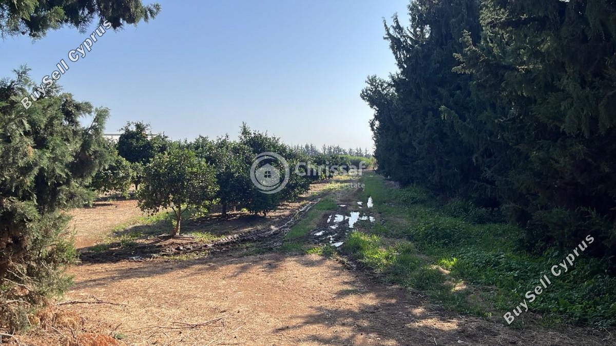 land for sale akrotiri limassol 7880242 image 17620701
