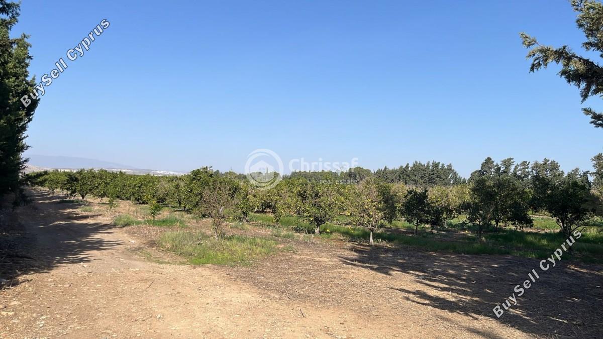 land for sale akrotiri limassol 7880242 image 17620702