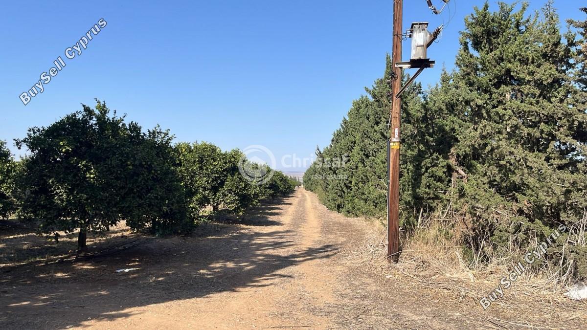 land for sale akrotiri limassol 7880242 image 17620705