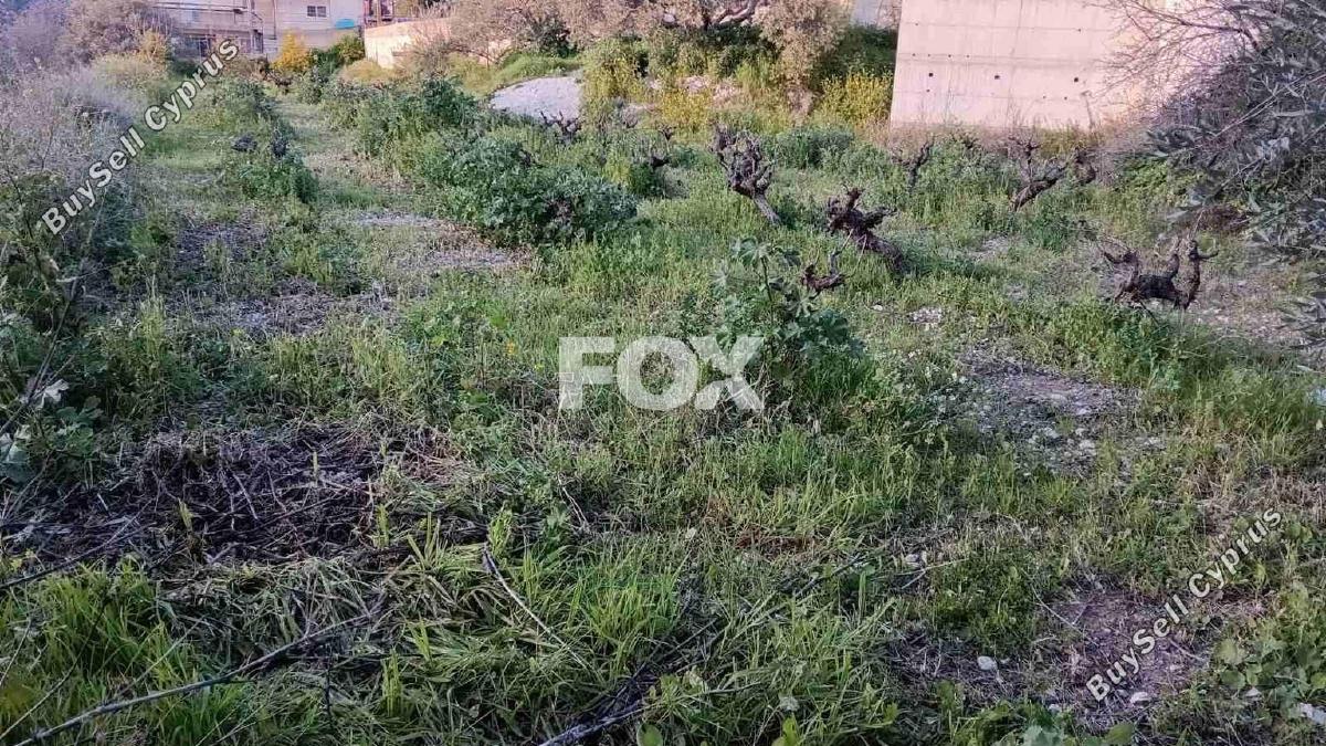 land for sale doros limassol 1769242 image 5703311