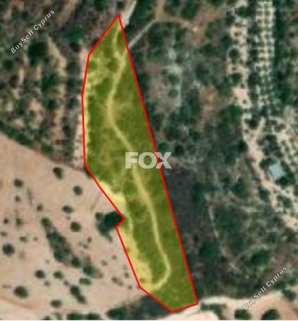 land for sale koili paphos 1160242 image 5539998