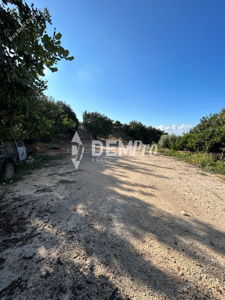 land for sale peyia paphos 7812242 image 10638267