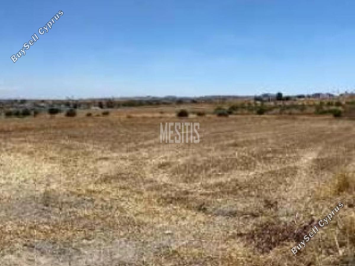 plot for sale athienou larnaca 8746242 image 16440559