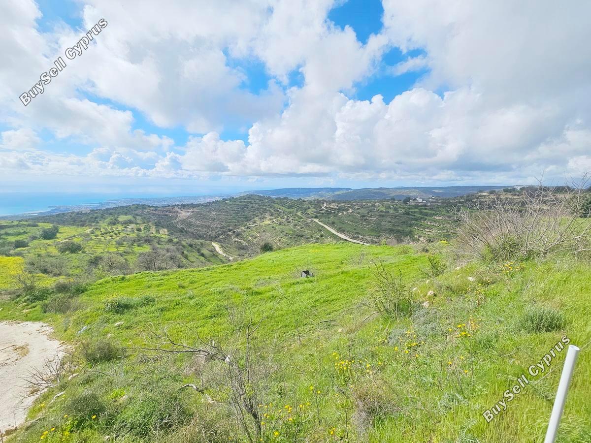 land for sale koili paphos 8397342 image 14824192