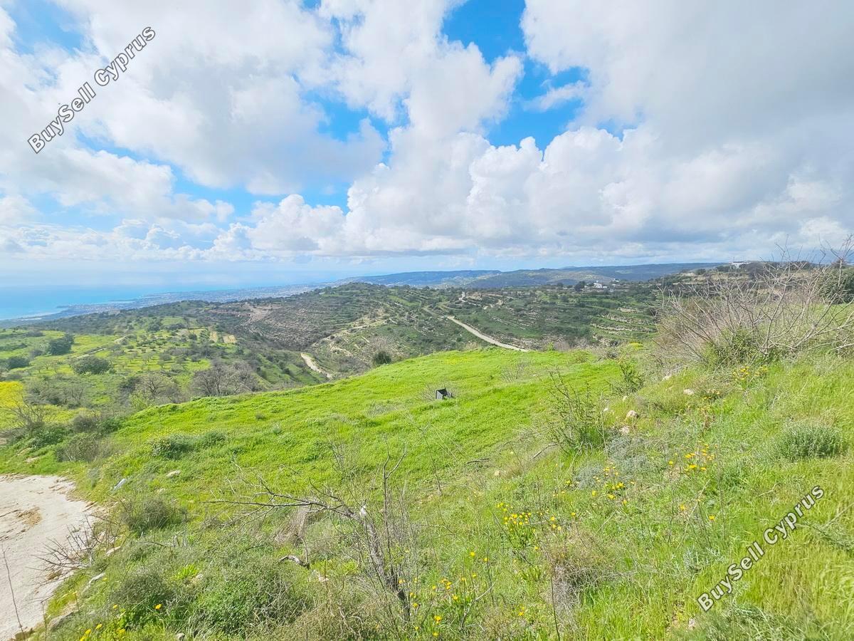 land for sale koili paphos 8397342 image 14824193