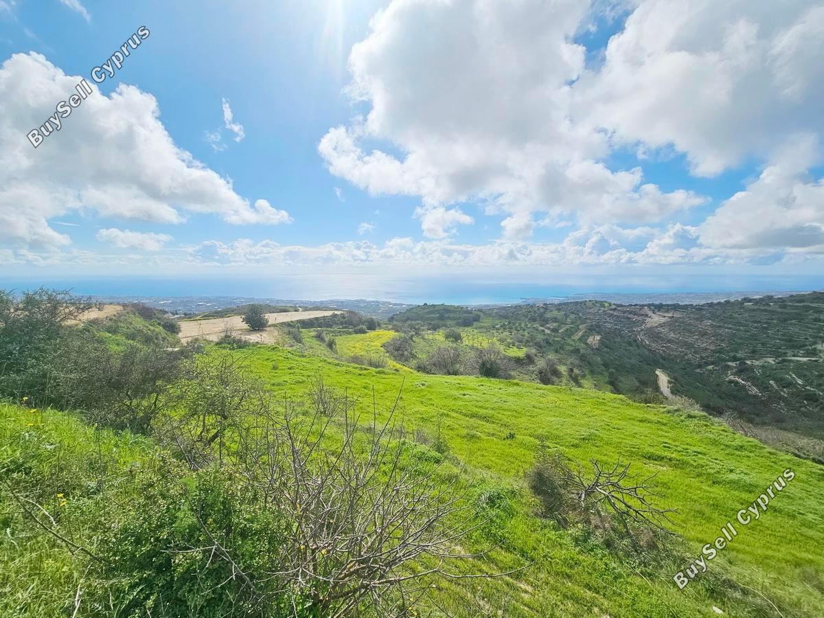land for sale koili paphos 8397342 image 14824194