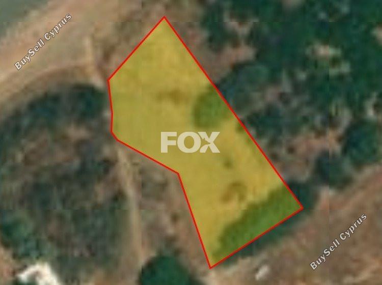 plot for sale pachyammos paphos 7643342 image 10461939