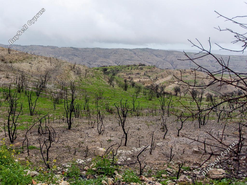 land for sale koilani limassol 8628542 image 16530229
