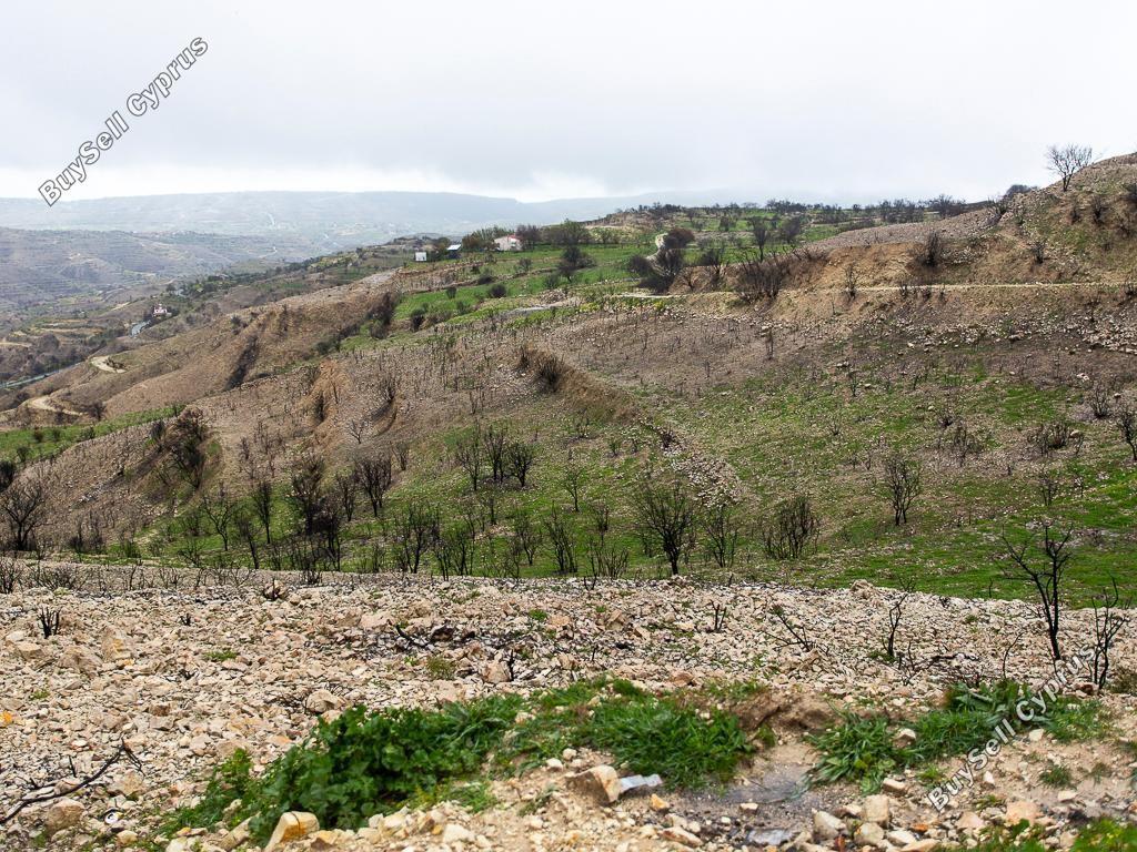 land for sale koilani limassol 8628542 image 16530230