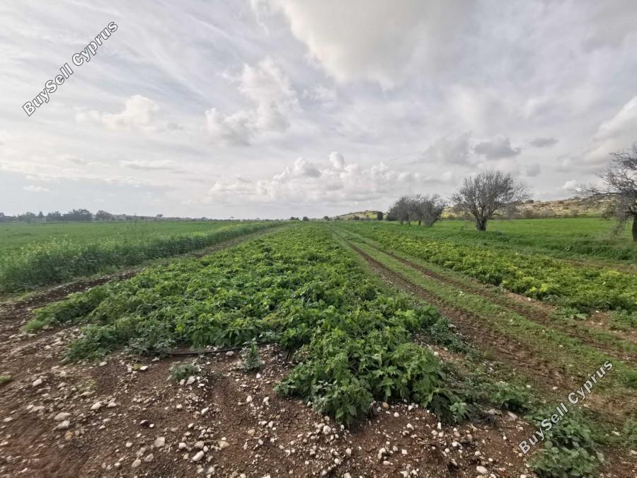 land for sale konia paphos 1355542 image 11365336
