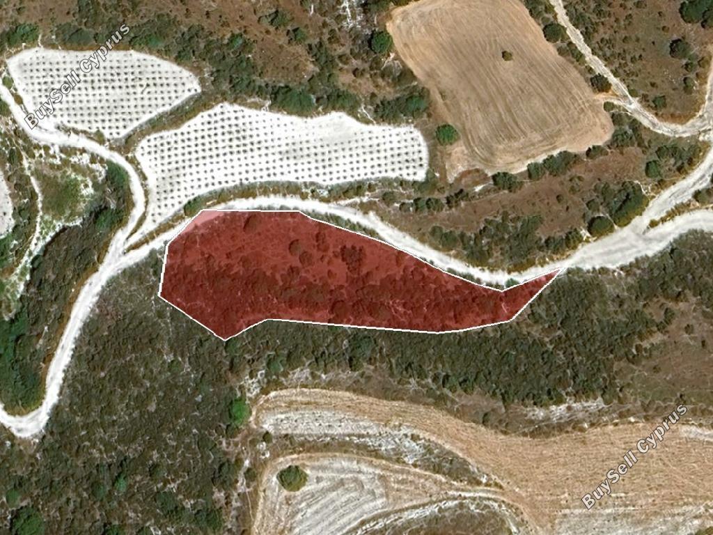 land for sale kelokedara paphos 8628642 image 17009489
