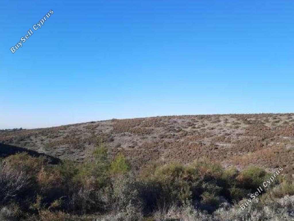 33780 SQM Land for sale in Ora, Larnaca 15600591