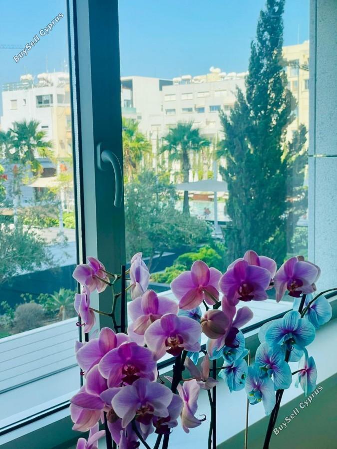 2 bedroom apartment for sale neapolis limassol 8350742 image 15041267