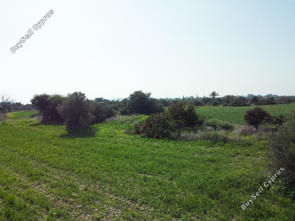 land for sale agios theodoros larnacas larnaca 987742 image 15601299