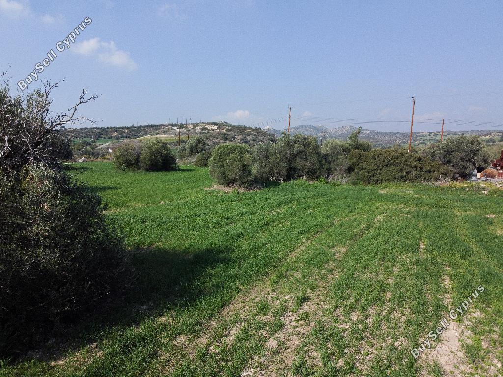 land for sale agios theodoros larnacas larnaca 987742 image 15601300
