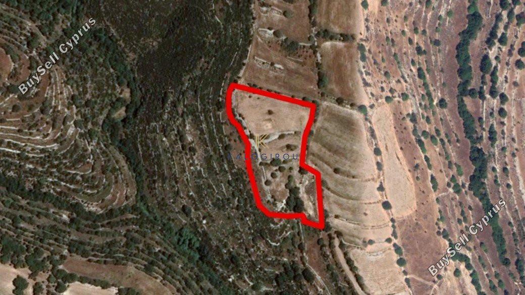 land for sale dora limassol 1194742 image 5570025