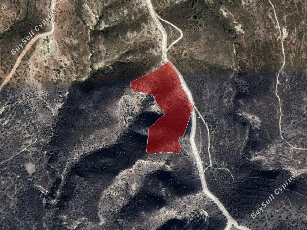 land for sale ora larnaca 962742 image 15600590