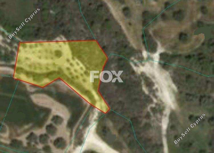 land for sale drousia paphos 1158842 image 10028657
