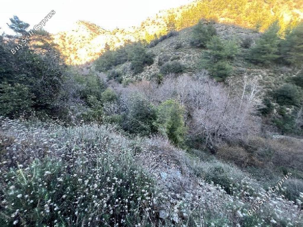 land for sale farmakas nicosia 1759842 image 15597898