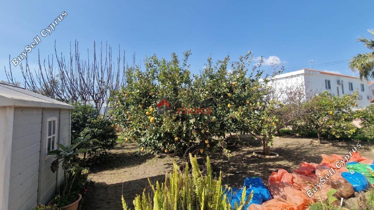 4 bedroom detached house for sale kiti larnaca 8441942 image 15291565