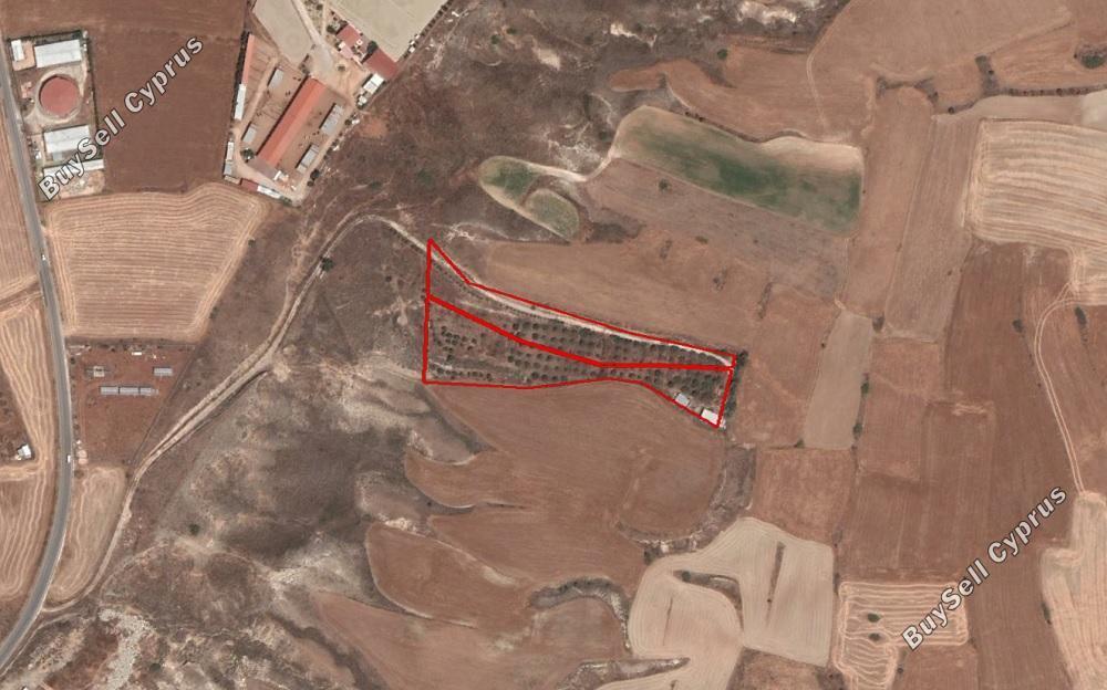 land for sale agioi trimithias nicosia 904942 image 2826381