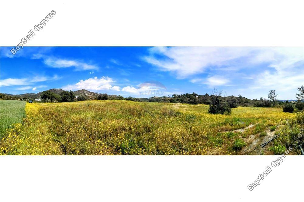 land for sale pyrgos limassol limassol 8093942 image 17170112