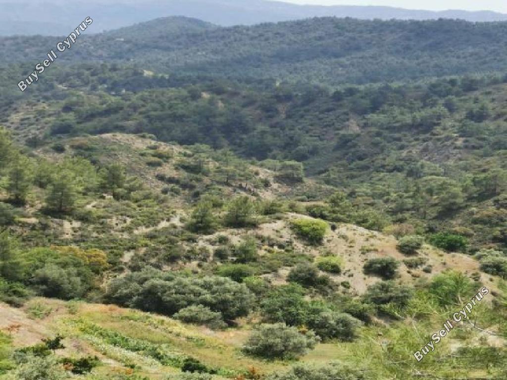 land for sale sykopetra limassol 917942 image 15602199