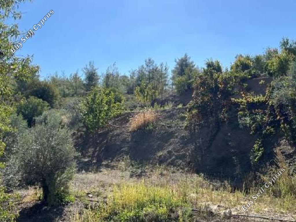 land for sale sykopetra limassol 917942 image 17102835