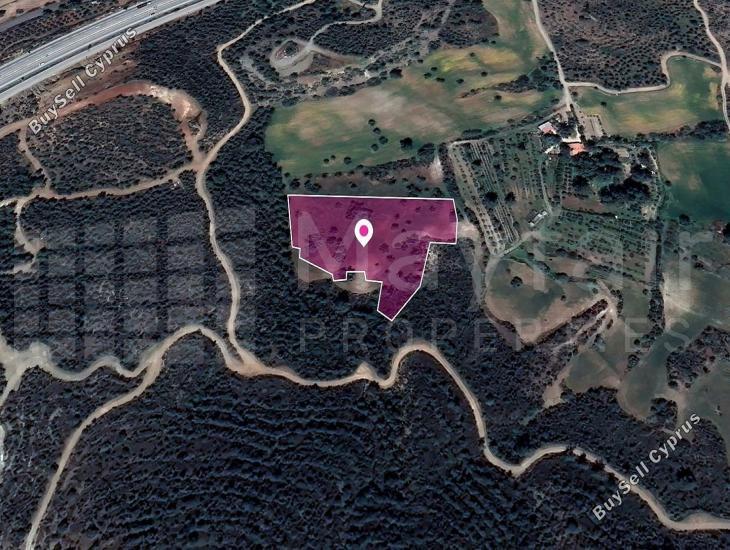 land for sale kofinou larnaca 7872052 image 15738782