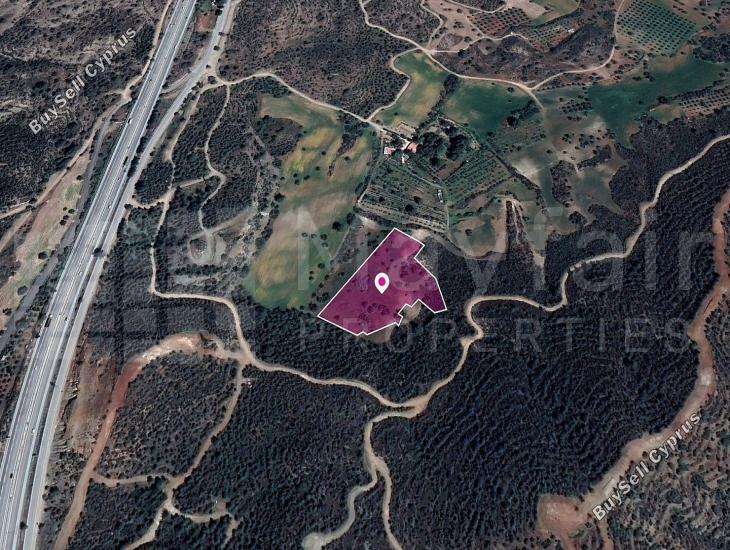 land for sale kofinou larnaca 7872052 image 15738783