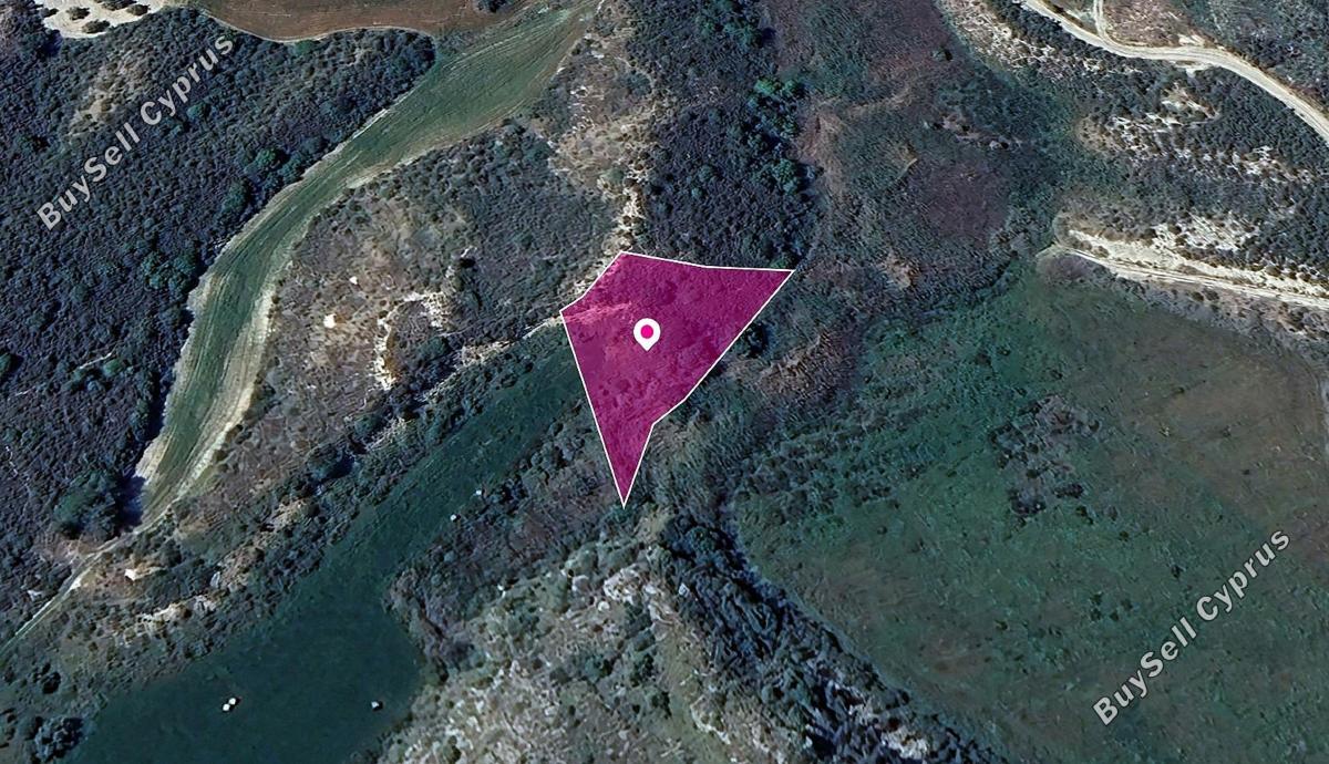land off market steni paphos 1213052 image 15135982