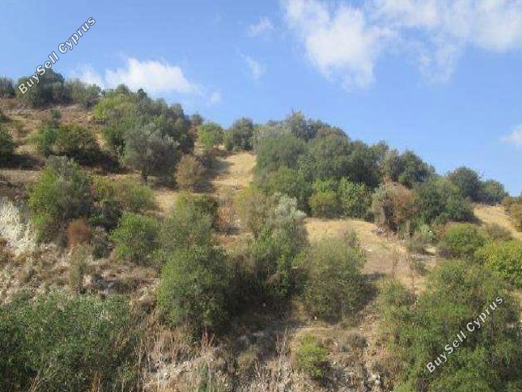 5519 SQM Land for sale in Kallepeia, Paphos 15597456