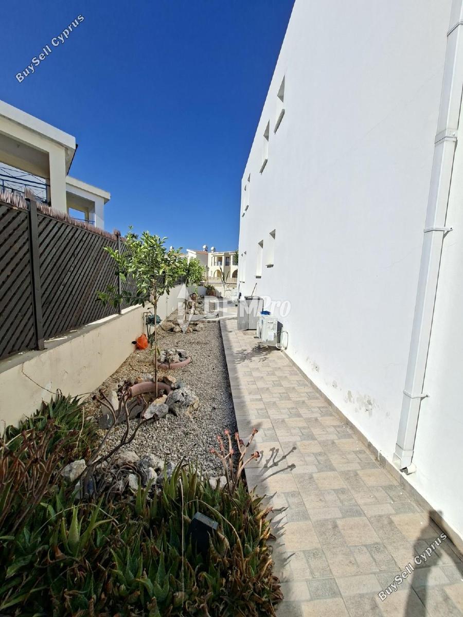 2 bedroom apartment for rent poli chrysochous paphos 7812152 image 16650850