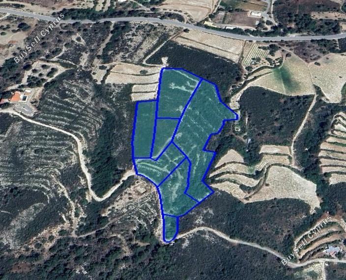 land for sale agios mamas limassol 1546152 image 15942349